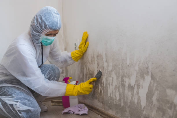 Best Mold Remediation for Specific Building Types in Pocono Woodland Lakes, PA